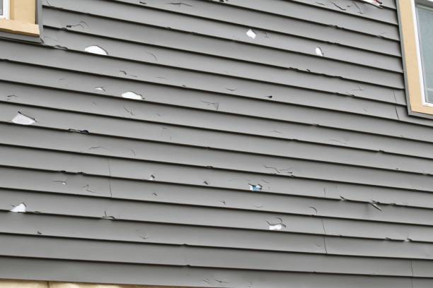 Professional Siding in Lake Kerr, FL